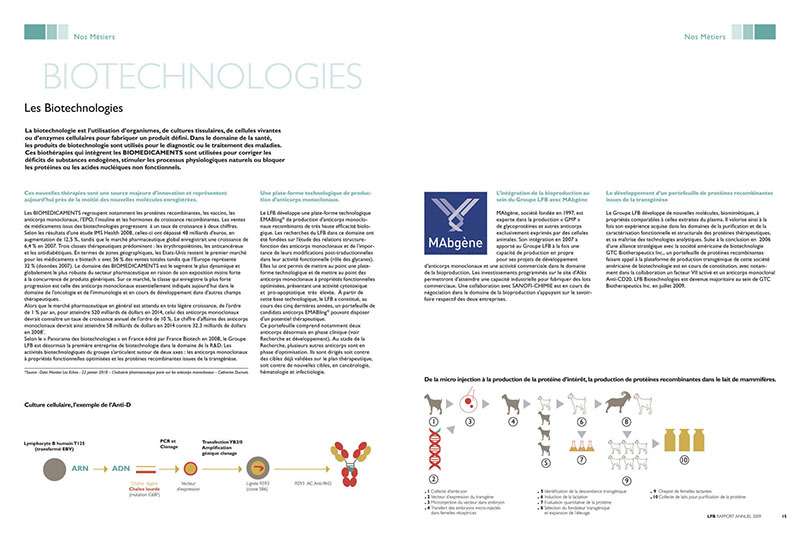 LFB-SA-rapport-annuel